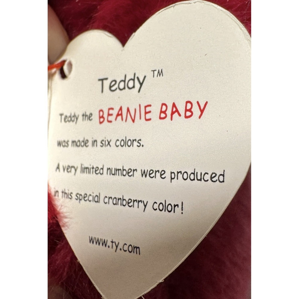 1998 Ty Beanie Buddy Teddy Cranberry Bear 14" PE Pellets Plush Korea w/ Tag - Picture 3 of 8